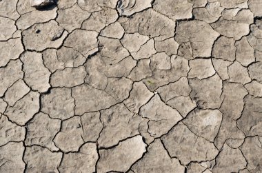 A close up of cracked mud after a riverbed has dried out