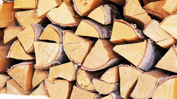 Birch log. — Stock Photo, Image