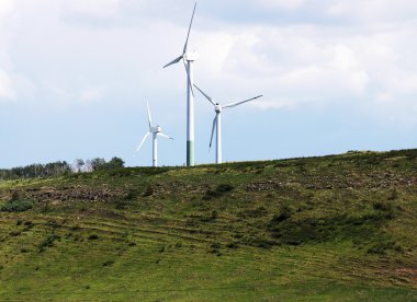 Rüzgar Enerji Jeneratör