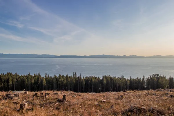 Desmatamento Costa Estreito Juan Fuca Ilha Vancouver Colúmbia Britânica — Fotografia de Stock