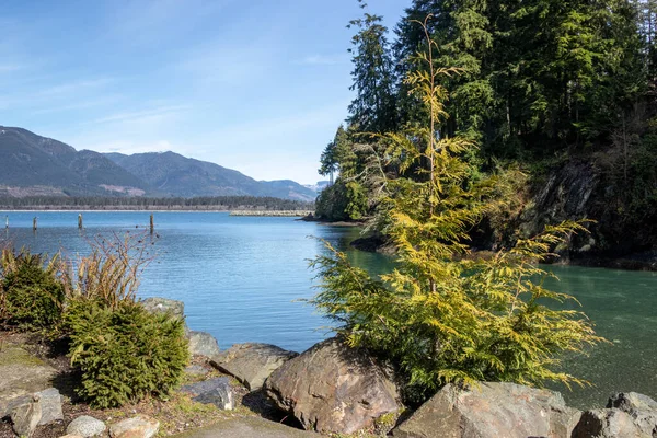 Vista Árvores Água Montanhas Port Renfrew British Columbia Canadá — Fotografia de Stock