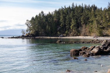 Kanada 'nın British Columbia bölgesindeki East Sooke Bölgesel Parkı' nın sahil şeridinde ağaç sıralanmış.