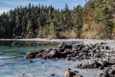 British Columbia, Kanada 'daki Vancouver Adası' ndaki East Sooke Bölgesel Parkı 'nın sahili