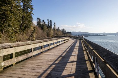 Sooke, British Columbia 'daki Ed Macgregor Parkı' nda, deniz kıyısındaki ahşap iskele.