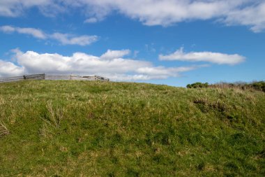Bir bahar günü MacAulay Point Parkı 'nda yeşil çimlerin üzerinde beyaz tüylü bulutlar.