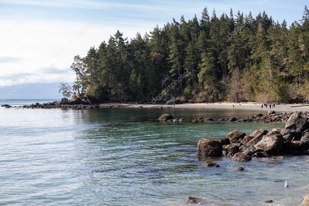 tree lined beach on the coast at East Sooke Regional Park in British Columbia, Canada