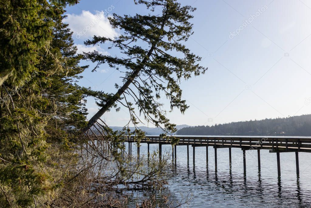 Boardwalk along the sea coast on a sunny day at Ed Macgregor Park in Sooke, British Columbia on Vancouver Island