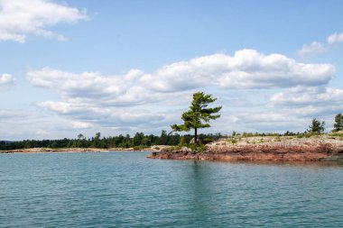 Kanada, Ontario, Killarney 'deki Collins körfezine batı girişine yakın Gürcistan Körfezi' nin engebeli kayalık kıyılarını çam ağacı kaplamıştı.