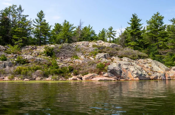Killarney, Ontario, Kanada 'daki Collins Körfezi' nin pembe granit kıyısındaki bir gölde yeşil algler.