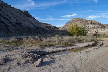 Drumhellar, Alberta 'daki Kanada Çorak Toprakları' nda çölde bir su birikintisi.