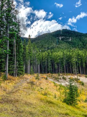 Banff Gondola Alberta, Kanada 'da dağa çıkıyor.
