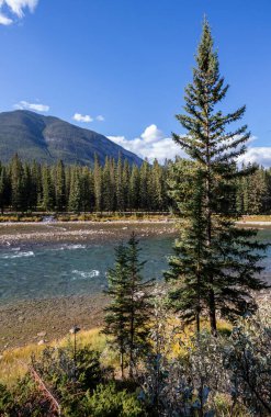 Güneşli bir Eylül gününde Banff Ulusal Parkı 'ndaki dağlarda Bow Nehri