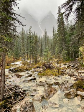 Banff Ulusal Parkı 'nda Moraine Gölü' ne akan buzullarla beslenen bir nehir.