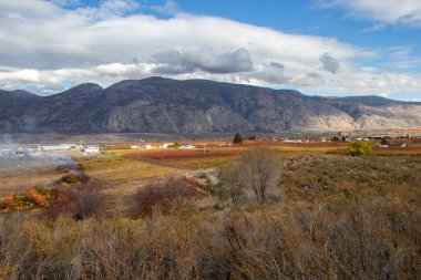 Ekim ayında Osoyoos, British Columbia 'da bir dağ sırasının altındaki tarım arazisi.