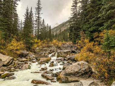 Banff Ulusal Parkı 'ndaki Louise Gölü' nde nehir buzulla beslendi.