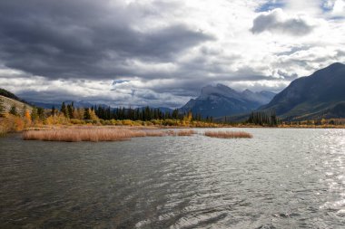 Alberta, Kanada 'daki Vermillion Gölünde bataklık otları ve dağ manzarası