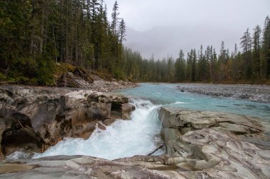 Blaeberry Nehri, Britanya Kolumbiyası, Kanada Bulutlu bir sonbahar gününde