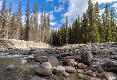 Baker Creek, Banff Ulusal Parkı 'ndaki Bow Valley Parkway, Alberta, Kanada güneşli bir eylül gününde