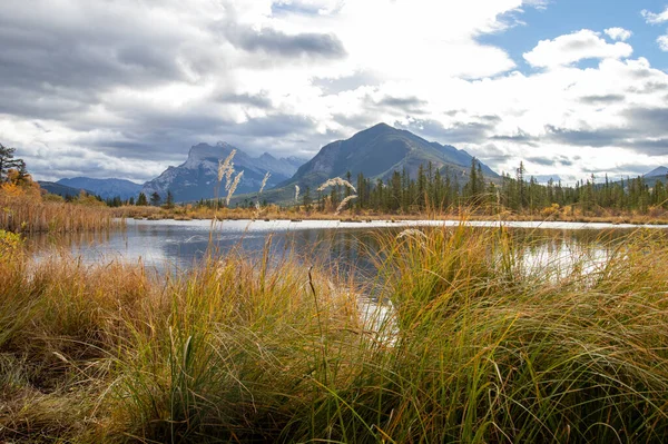 Bažinaté Trávy Výhledy Hory Vermillion Lakes Alberta Kanada — Stock fotografie