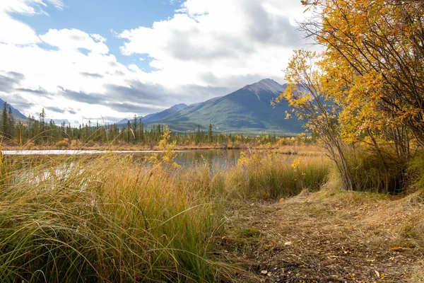 カナダのアルバータ州にあるVermillion Lakeでの湿原草と山の景色 — ストック写真