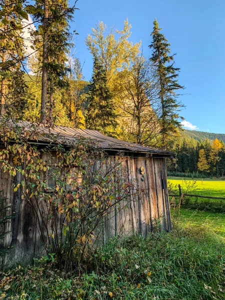 Ein Alter Holzschuppen Auf Einem Grundstück British Columbia Kanada Den — Stockfoto