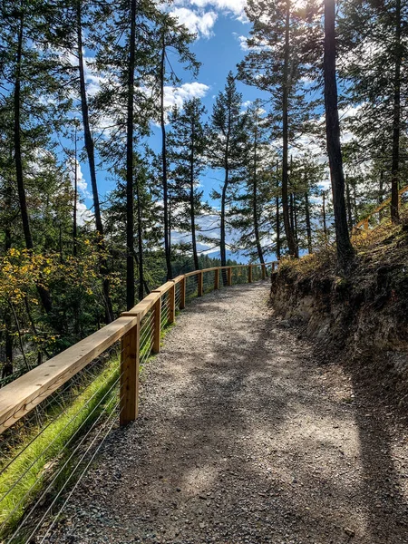 Kanada, British Columbia 'daki Golden Skybridge' e giden patika.