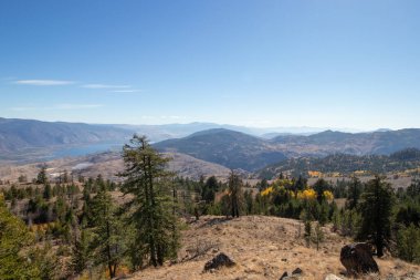 İngiliz Kolombiyası 'nın Okanagan Vadisi' ndeki Kobau Dağı 'ndan, ağaçlardan ve Osoyoos Gölü' nden manzara