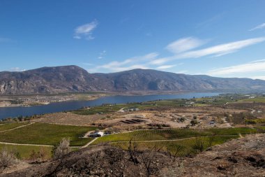 Britanya Kolumbiyası 'ndaki Okanagan Vadisi' ndeki dağlar, göl ve tarım arazileri güneşli bir sonbahar gününde
