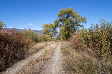 Sonbaharda güneşli bir günde Kanada, British Columbia 'da Osoyoos Oxbow' da patika