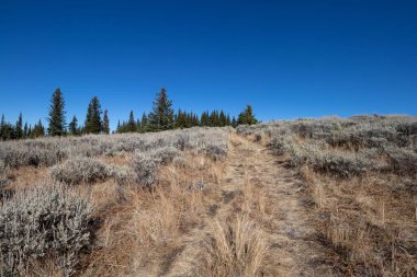İngiliz Kolombiya 'sında Kobau Dağı' nda Chopaka Gözcü Yolu