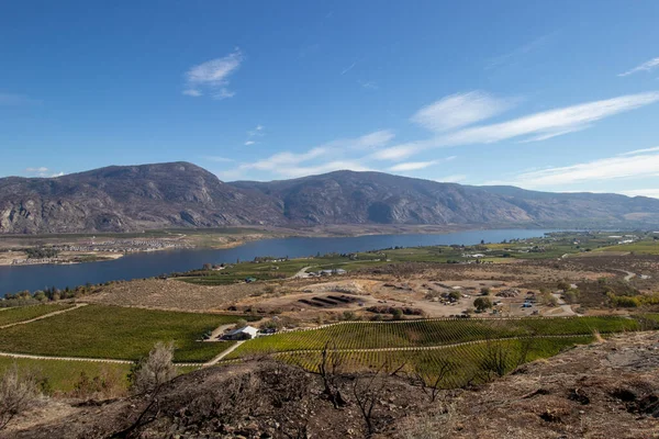 Britanya Kolumbiyası 'ndaki Okanagan Vadisi' ndeki dağlar, göl ve tarım arazileri güneşli bir sonbahar gününde