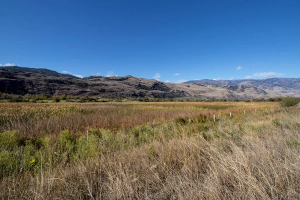 Vista Los Humedales Campos Montañas Osoyoos Columbia Británica Canadá — Foto de Stock