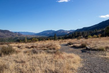 British Columbia 'daki Okanagan Vadisi' nde bir patika.