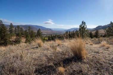 Kanada, British Columbia 'daki Tinhorn Creek patikasından Okanagan Vadisi manzarası