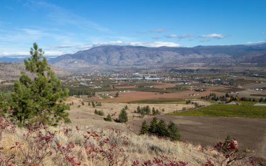 Kanada, British Columbia 'daki Tinhorn Creek patikasından Okanagan Vadisi manzarası