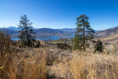 Britanya Kolumbiyası 'ndaki Ancarchist Dağı' ndan Osoyoos kasabasının manzarası