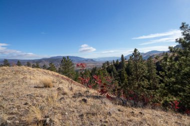 Kanada, British Columbia 'daki Tinhorn Creek patikasından Okanagan Vadisi manzarası