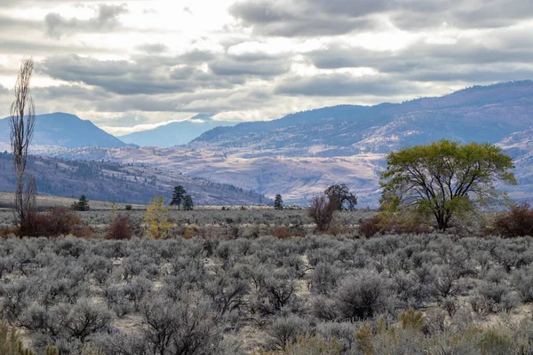 Dolina Okanagan Kolumbii Brytyjskiej Kanada Jesienny Dzień — Zdjęcie stockowe