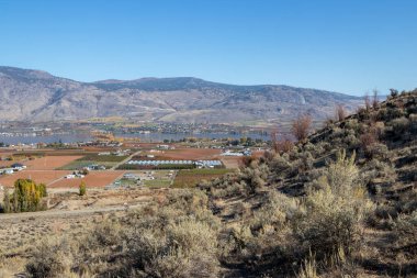 Osoyoos 'un Britanya Kolumbiyası, Kanada' daki Okanagan Vadisi 'ndeki güneşli bir sonbahar günü manzarası