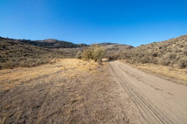 Osoyoos West Bench 'teki toprak yolu hassas ekosistem alanı ve Kanada' daki British Columbia 'daki vahşi yaşam alanı.