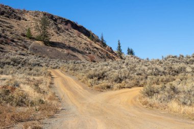 Osoyoos West Bench 'teki toprak izleri hassas ekosistem alanı ve Kanada' daki British Columbia 'daki vahşi yaşam ortamı.