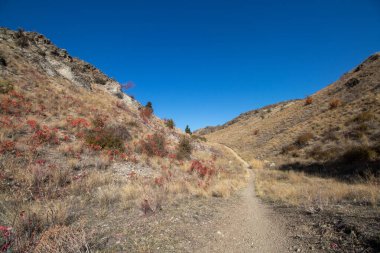 Oliver, British Columbia, Kanada 'daki dağlarda sonbahar manzarası