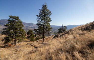 Kanada 'daki British Columbia' daki Oliver Viewpoint Patikası 'ndan kasaba manzarası