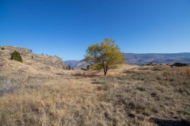 Oliver, British Columbia, Kanada 'daki dağlarda sonbahar manzarası