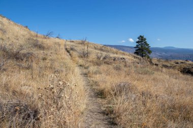 Oliver Viewpoint Patikası British Columbia 'da, Kanada Okanagan Vadisi' nde