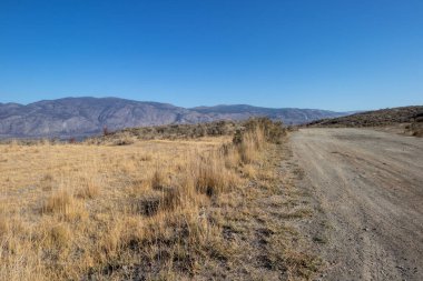 Osoyoos West Bench hassas ekosistem alanı ve Kanada 'daki British Columbia' daki vahşi yaşam ortamı