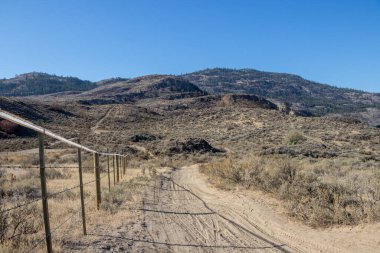 Osoyoos West Bench hassas ekosistem alanı ve Kanada 'daki British Columbia' daki vahşi yaşam ortamı