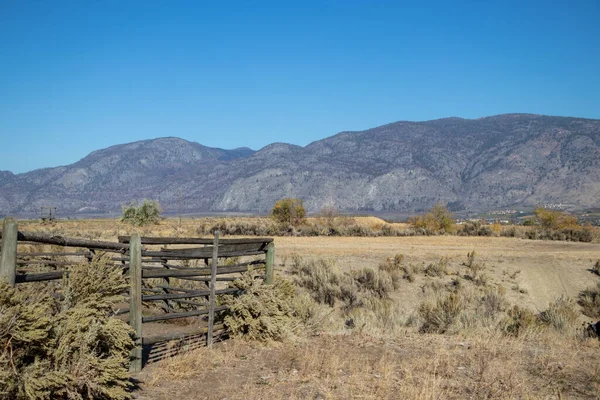 Okanagan Vadisi 'ndeki Britanya Kolumbiyası, Osyoos' taki çayırlarda ahşap bir kattel ağılı.