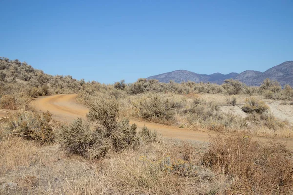 Estrada Terra Única Pista Nas Montanhas Osoyoos Colúmbia Britânica Dia — Fotografia de Stock