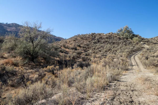 Trilha Área Habitat Sensível Banco Ocidental Osoyoos Vale Okanagan Colúmbia — Fotografia de Stock